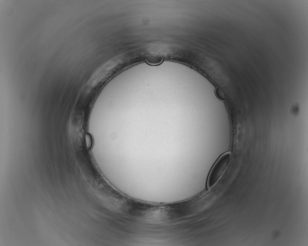 X0000116340116200912221449