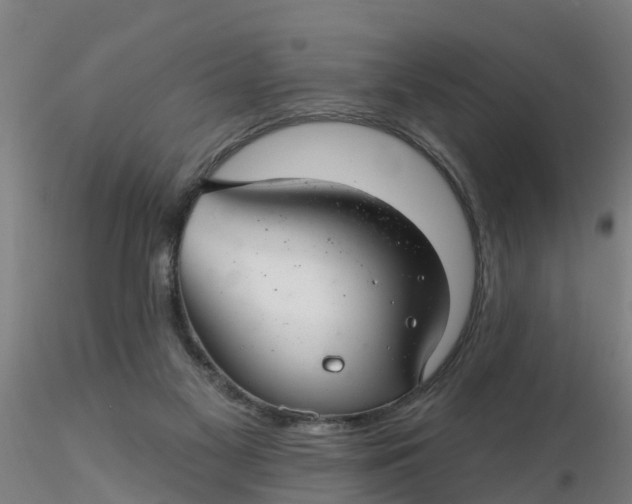 X0000116340117200912221449