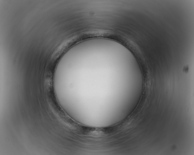 X0000116340119200912221449