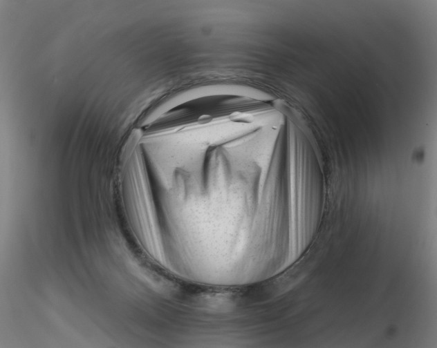 X0000116340120200912221449