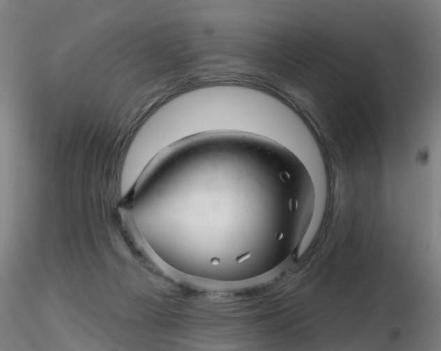 X0000116340121200912221449