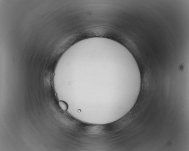 X0000116340122200912221449