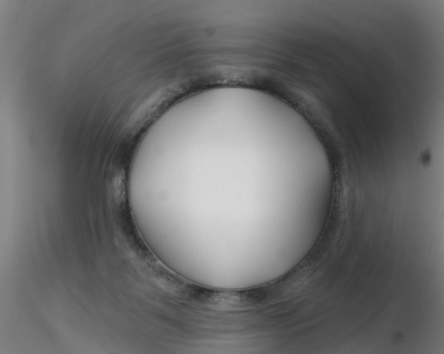 X0000116340123200912221449