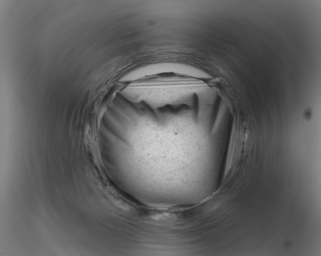 X0000116340125200912221449