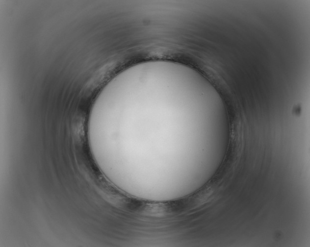 X0000116340127200912221449