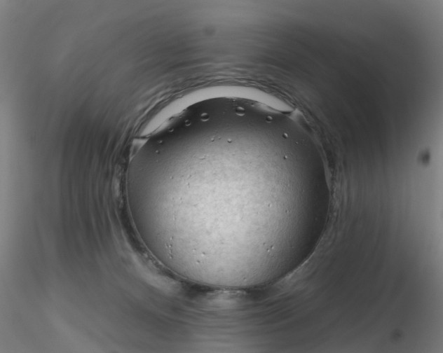 X0000116340128200912221449