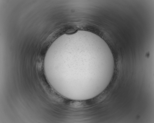 X0000116340129200912221449