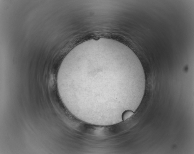 X0000116340130200912221449