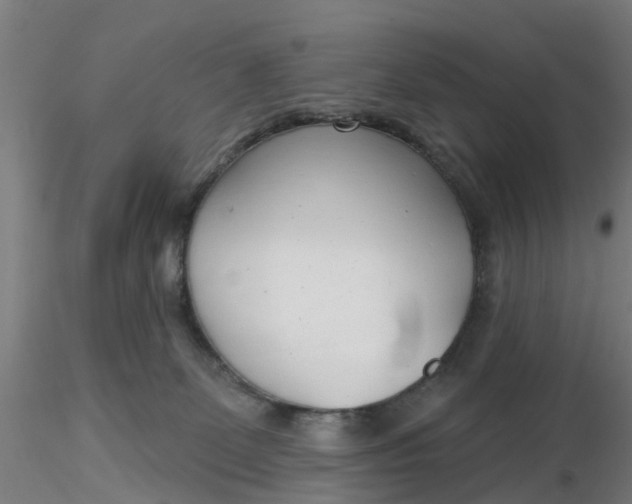 X0000116340131200912221449