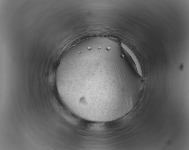 X0000116340132200912221449