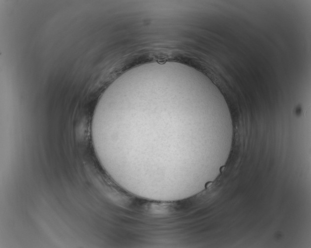 X0000116340134200912221449