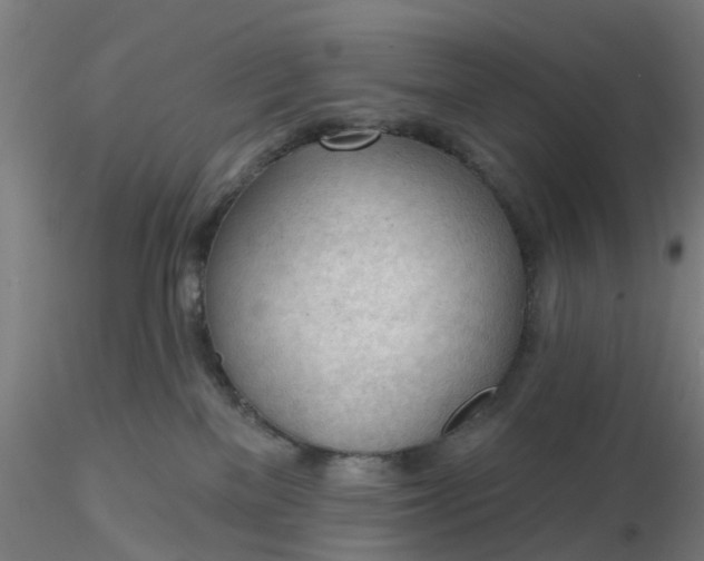 X0000116340137200912221449