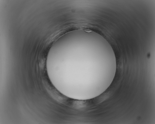 X0000116340139200912221449