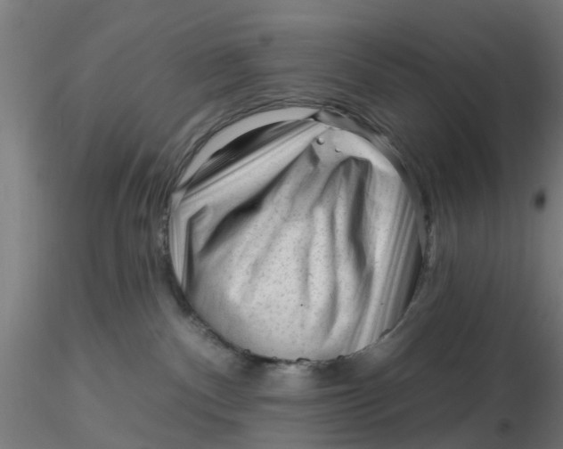 X0000116340140200912221449