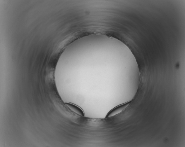 X0000116340141200912221449