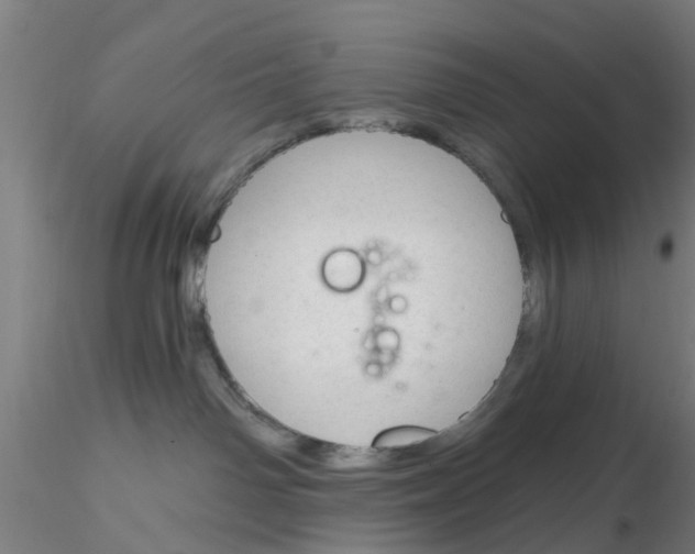 X0000116340142200912221449