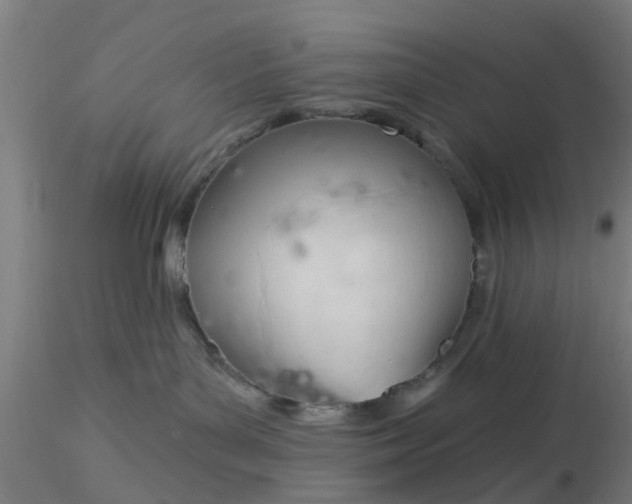 X0000116340143200912221449