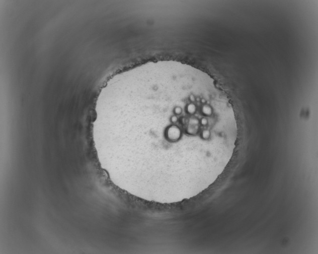 X0000116340144200912221449