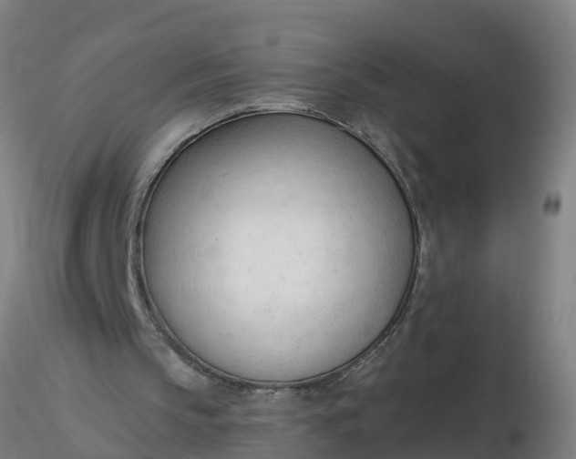 X0000116340145200912221448