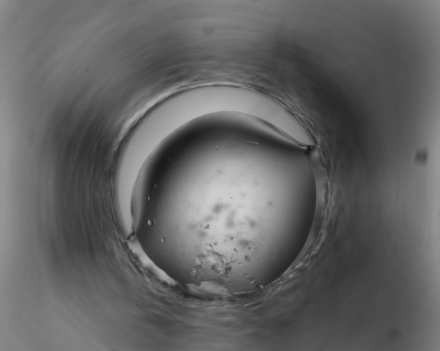 X0000116340146200912221448