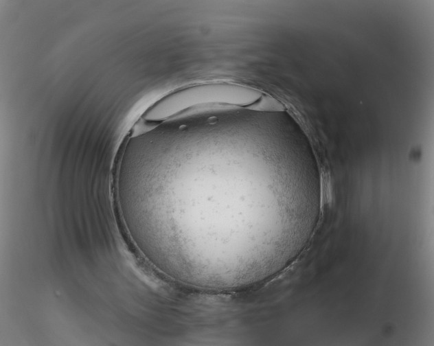 X0000116340147200912221448