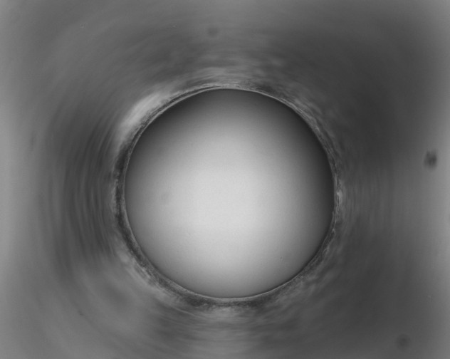 X0000116340149200912221448