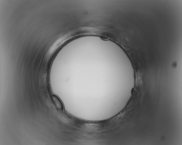 X0000116340150200912221448