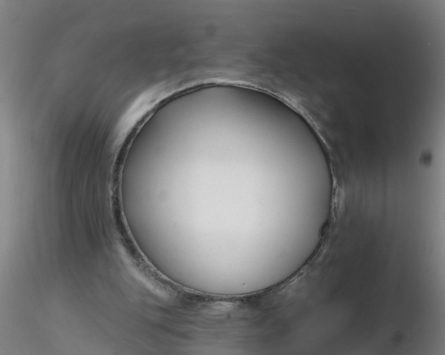 X0000116340151200912221448