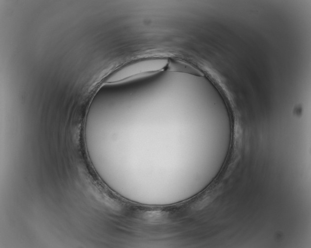 X0000116340153200912221448