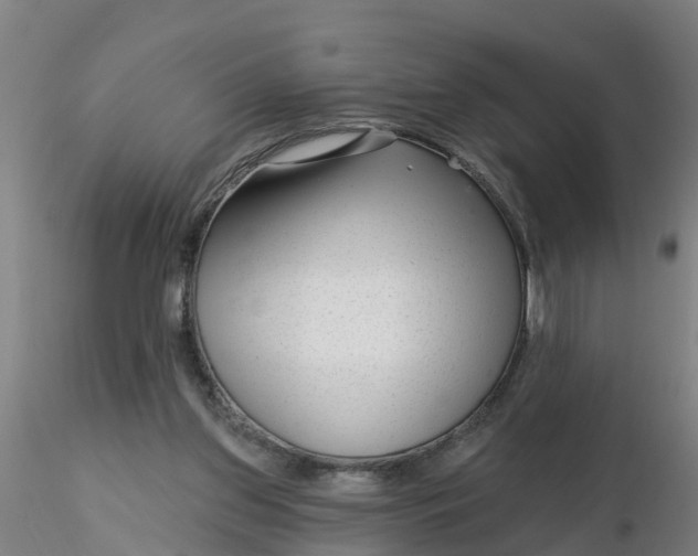 X0000116340157200912221448