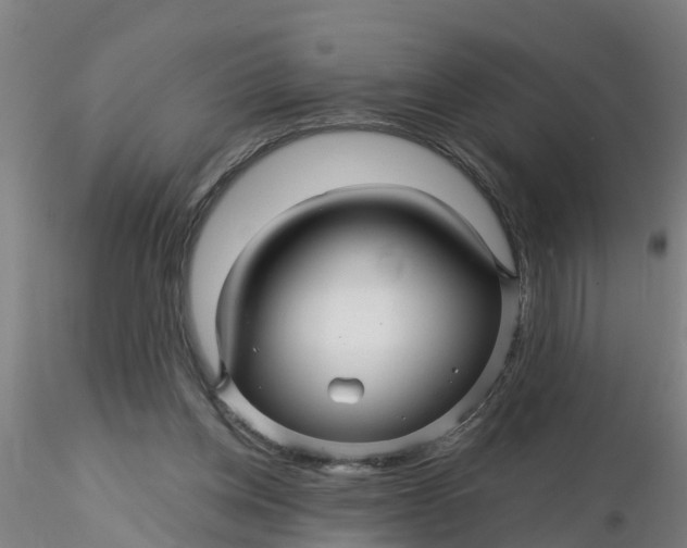 X0000116340158200912221448