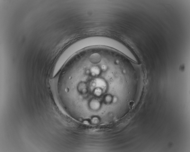 X0000116340161200912221448