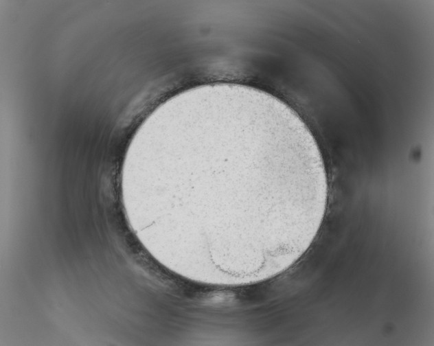 X0000116340162200912221448