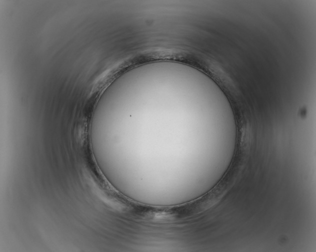 X0000116340165200912221448