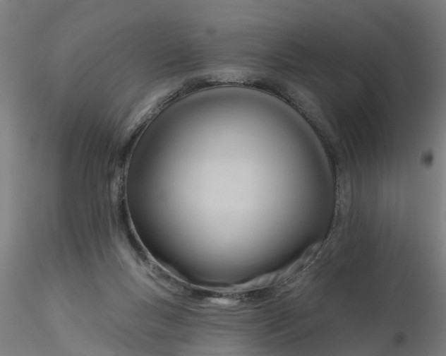 X0000116340167200912221448