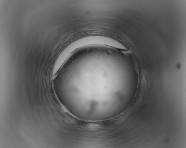 X0000116340169200912221448