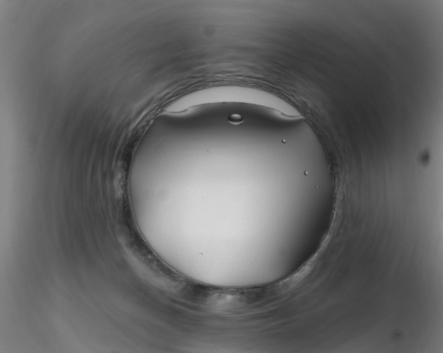 X0000116340174200912221448