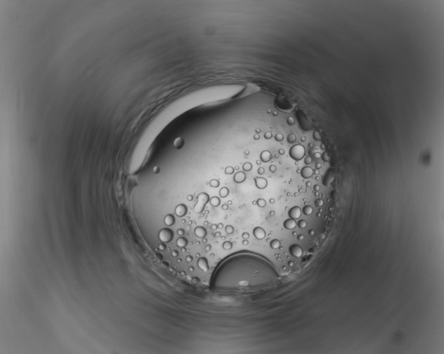 X0000116340175200912221448