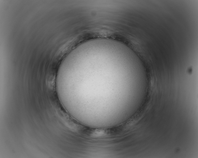 X0000116340177200912221448