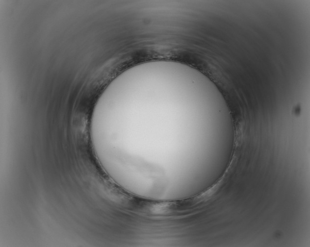 X0000116340178200912221448