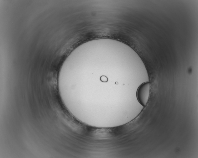 X0000116340179200912221448