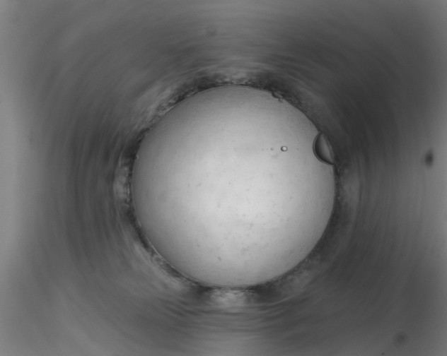 X0000116340181200912221448