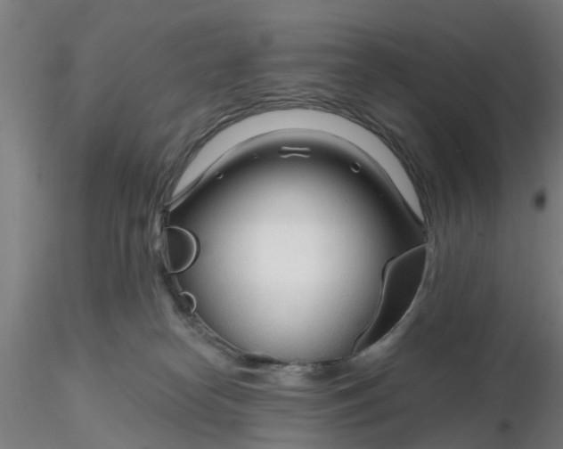 X0000116340182200912221448