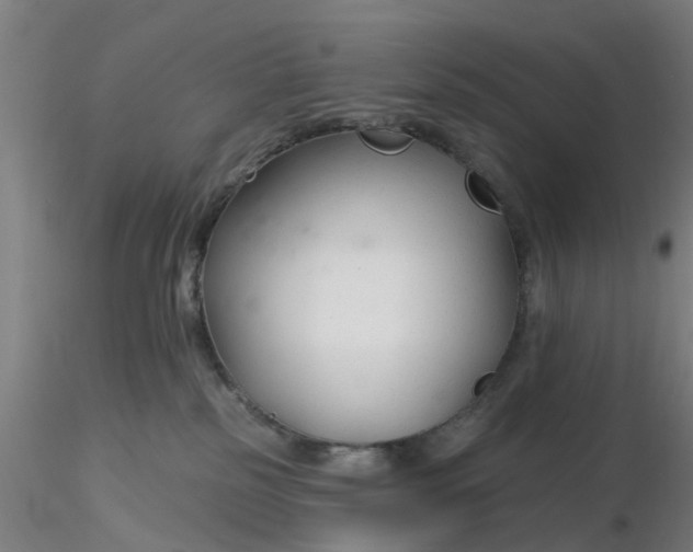 X0000116340185200912221448