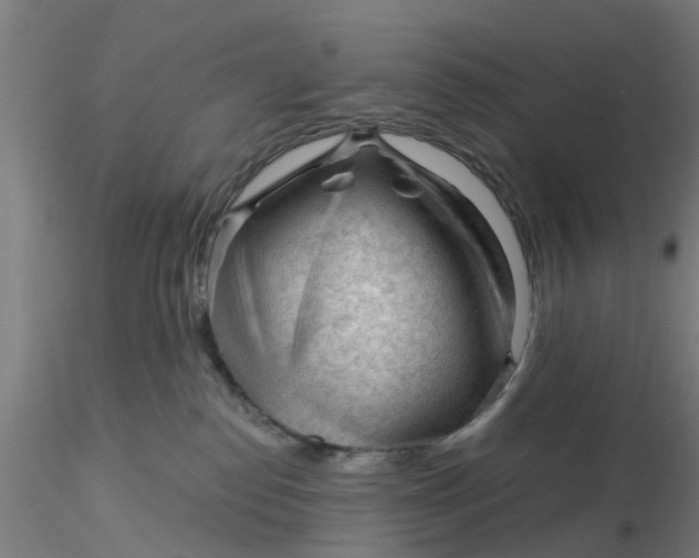 X0000116340186200912221449