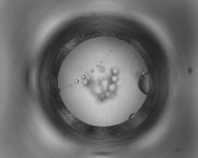 X0000116340189200912221449