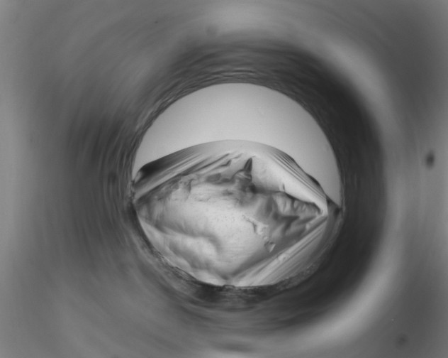 X0000116340190200912221449