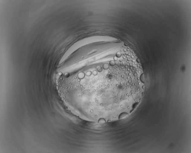 X0000116340191200912221449