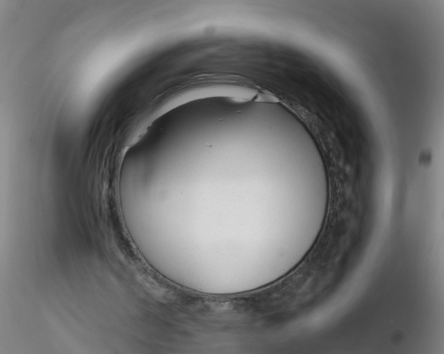 X0000116340194200912221448