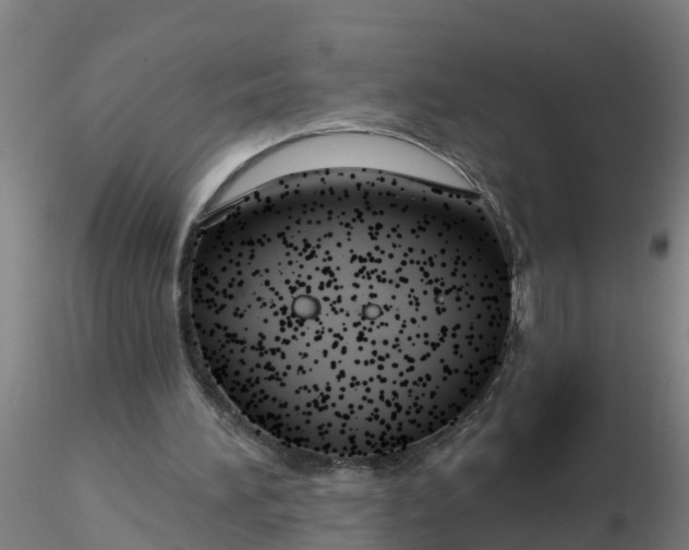 X0000116340196200912221448